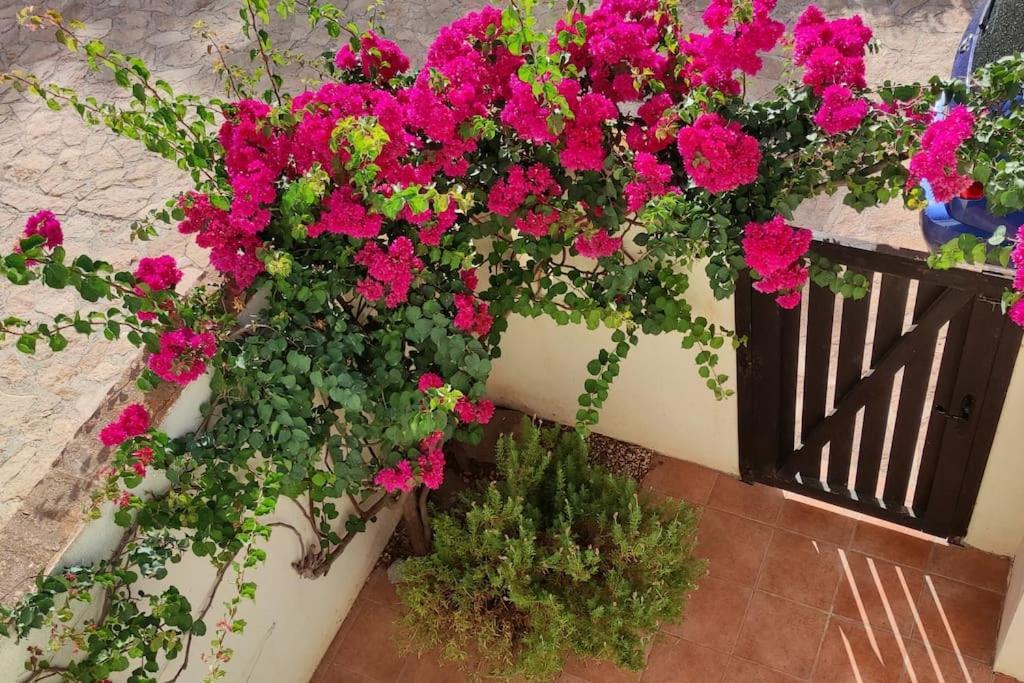 Casa Con Piscina En San Jose Sotillo 外观 照片